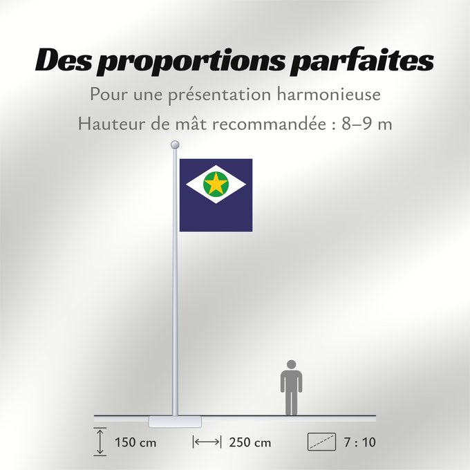 Proportions du drapeau : Mato Grosso	State of Mato Grosso, Brazil	Mato Grueso	Mato Grosso, Brasil