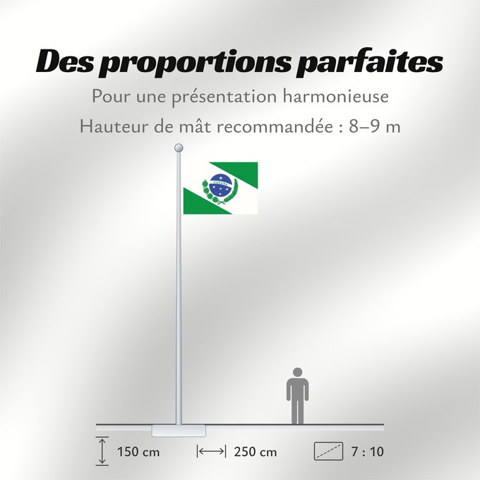 Proportions du drapeau : Paraná