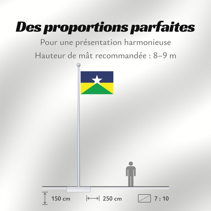 Proportions du drapeau : Rondônia