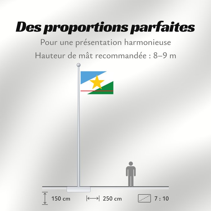 Proportions du drapeau : Roraima