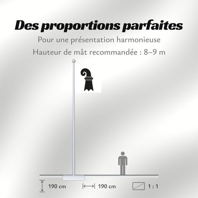 Proportions du drapeau : Canton of Basel	Canton of Basel City  Basel Stadt/Bâle Ville	Bâle-Ville	Basilea-Ciudad	Kantons Basel-Stadt	Basilea Città