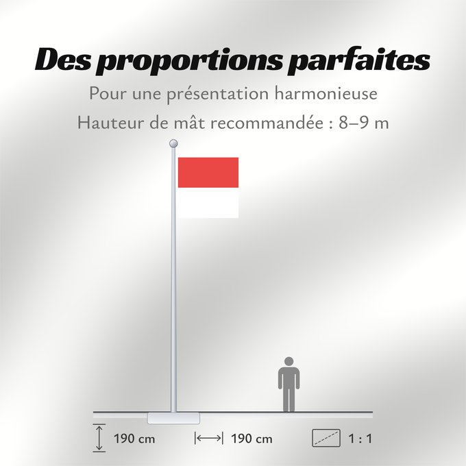 Proportions du drapeau : Canton of Solothurn Canton of Solothurn Switzerland Soleure cantón de Soleura Kanton Solothurn Soletta Kanton Solothurn Swiss