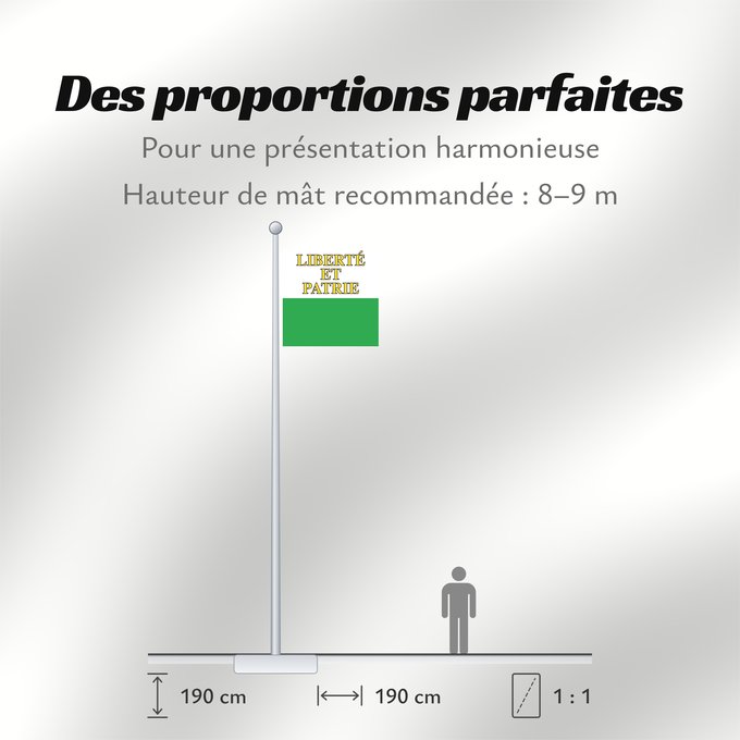 Proportions du drapeau : Canton of Vaud Vaud canton de Vaud República y cantón de Vaud Vaud