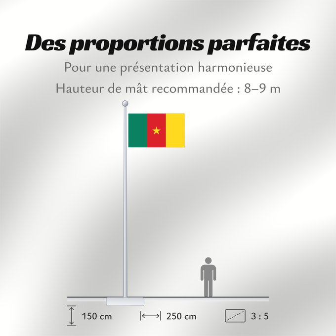 Proportions du drapeau : Cameroon	Cameroun	Camerún	Kamerun	Camerun	ক্যামেরুনের পতাকা।	Kamerunu	Kameruno	پرچم کامرون	Fändel vum Kamerun	Знаме на Камерун	Camerunului	Kameruna	Kameruns