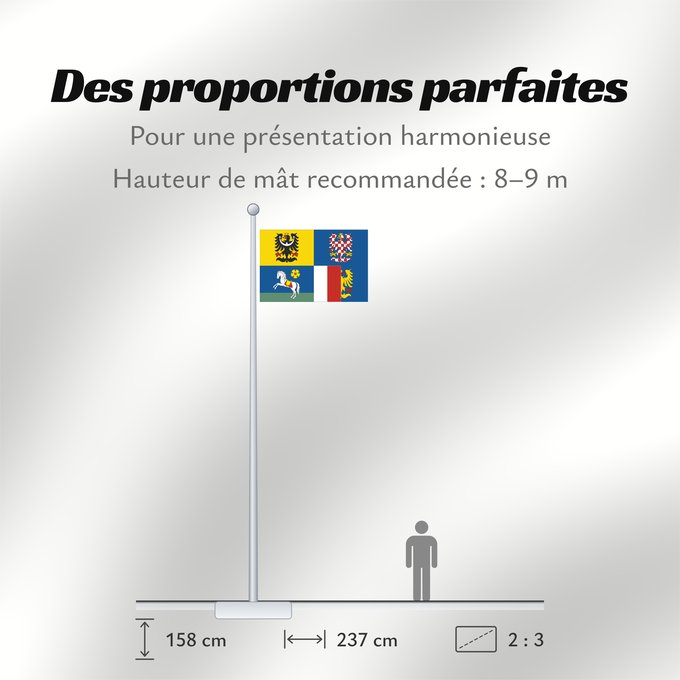 Proportions du drapeau : Moravian-Silesian Region	Région de Moravie-Silésie	Región de Moravia-Silesia	Moravian-Silesian	Moravskoslezského kraje čtvrcený list v horním žerďovém žlutém poli slezská orlice v dolním žerďovém modrém poli na zeleném trávníku