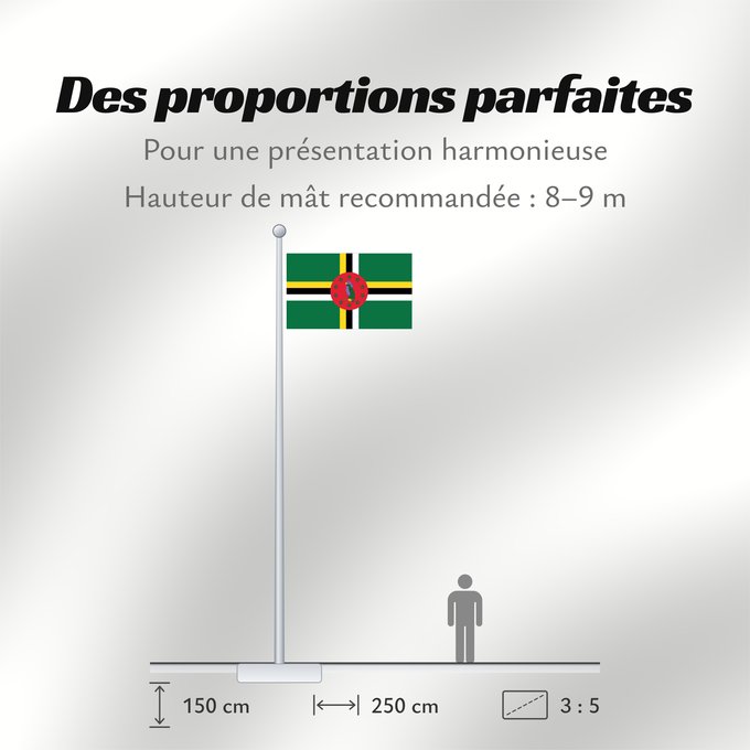 Proportions du drapeau : Dominica Dominique Dominica lipp Dominican ドミニカ国の国旗 Флаг Доминики Dominike Dominicas