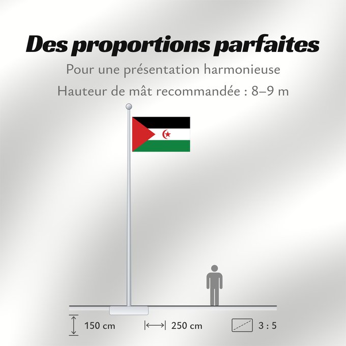 Proportions du drapeau : Sahrawi Arab Democratic Republic	Western Sahara	République arabe sahraouie démocratique	República Árabe Saharaui Democrática	Demokratischen Arabischen Republik Sahara	Repubblica Democratica Araba Sahrawi	Arabische Democratische Republiek Sahara	República 