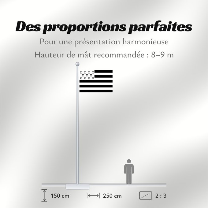 Proportions du drapeau : Brittany The Gwenn-ha-du, flag of Brittany Le Gwenn-ha-du, drapeau de la Bretagne Spaniel Bretón Bretagna Ar Gwenn-ha-du, banniel Breizh
