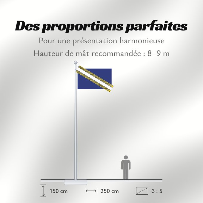 Proportions du drapeau : Champagne-Ardenne Region Champagne-Ardenne in France Région Champagne-Ardenne en France Champaña-Ardenas