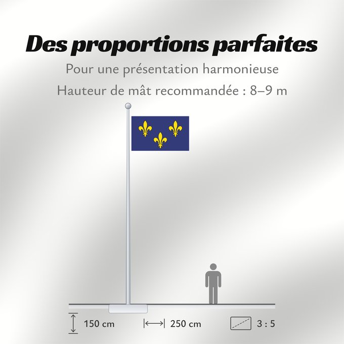 Proportions du drapeau : Île-de-France	Unofficial	Non-officiel de la région Île-de-France en France	이 것은 일드프랑스의 깃발입니다