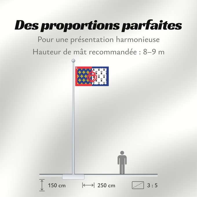 Proportions du drapeau : Unofficial flag of Pays-de-la-Loire	Unofficial flag of the region Pays-de-la-Loire in France	Non officiel de la région Pays-de-la-Loire	Países del Loira	Pays de la Loire	Los Païses de Léger