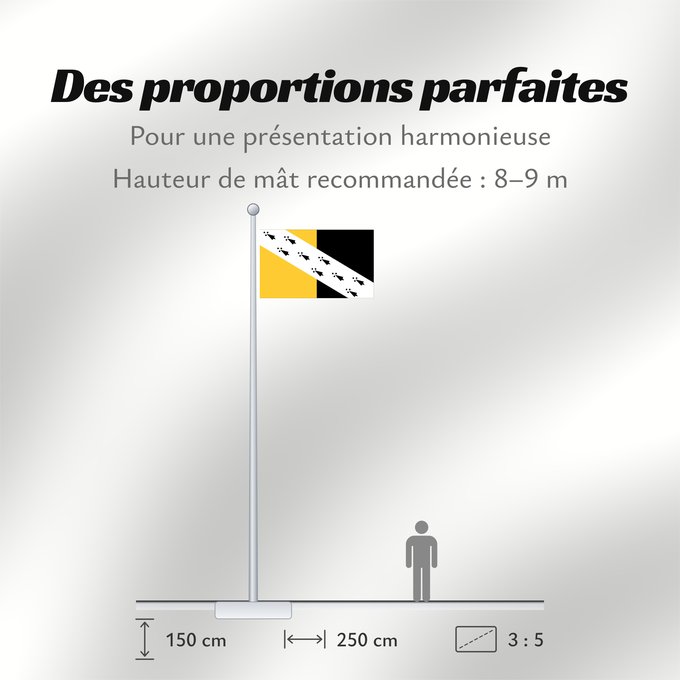 Proportions du drapeau : Norfolk