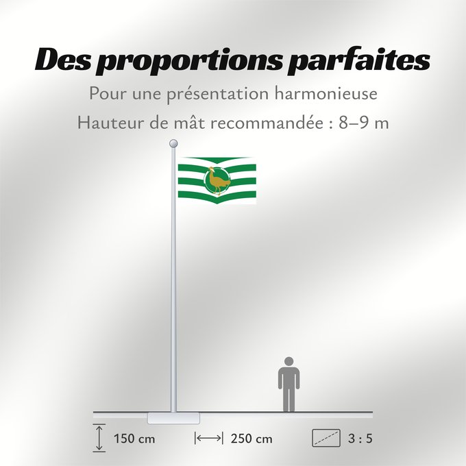 Proportions du drapeau : Windsor and Maidenhead