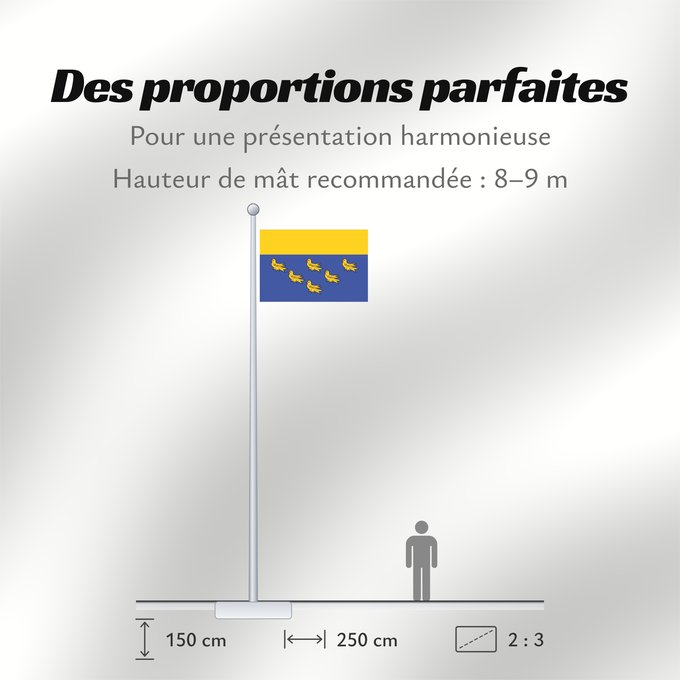 Proportions du drapeau : West Sussex