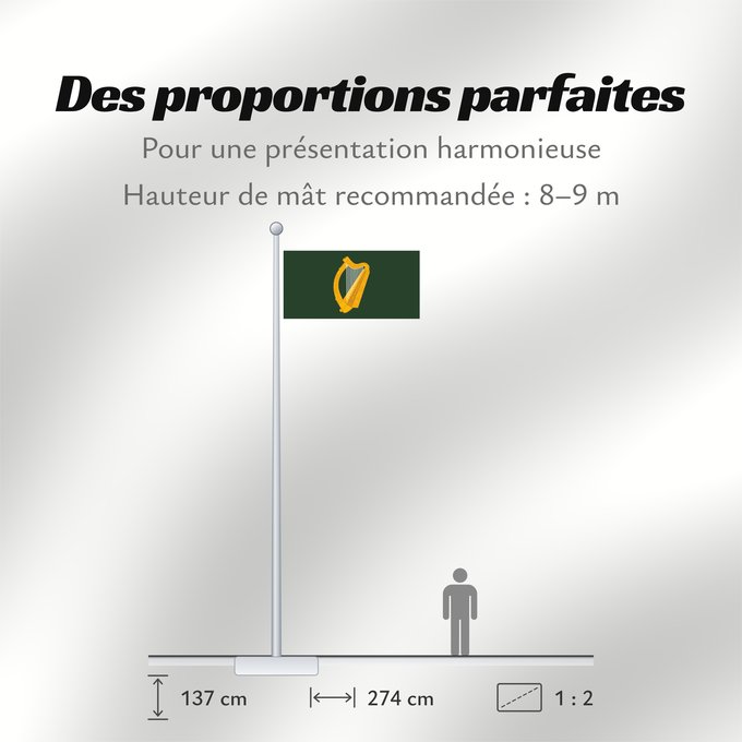 Proportions du drapeau : Leinster	W Leinster