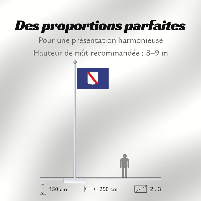 Proportions du drapeau : Campania	Campania’s	région de Campanie	Regione italiana Campania	Bannera dâ Campania