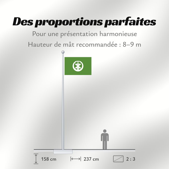 Proportions du drapeau : Niigata