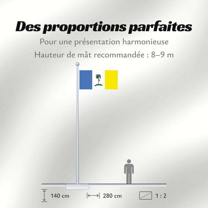 Proportions du drapeau : Pulau Pinang