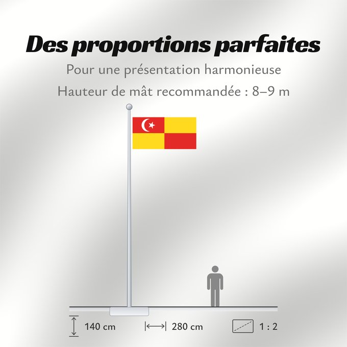 Proportions du drapeau : Selangor	Selangor 	Malaysian state Selangor