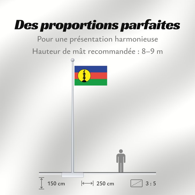 Proportions du drapeau : FLNKS Kanak and Socialist National Liberation Front political party Front de libération nationale kanak et socialiste Colores Pantone http //www Neukaledonien Nuova Caledonia Front d Alliberament Nacional Canac Socialista