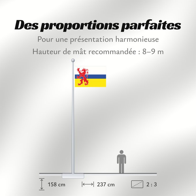 Proportions du drapeau : Limburg  Netherlands	Dutch province Limburg	Limbourg	Limburgo	Limburg	Nederlandse province Limburg