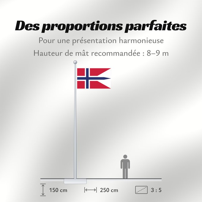 Proportions du drapeau : Norway Norvège Noruega Norwegen Norvegia Noorwegen Norwegii Þjóðfáni Noregs Banniel Norvegia Norska Norwy Norges Norvegio Noregs Norveške Norski fáninn Norvegiae Norges flagg Det norske flagget Norgga leavga Stän Norgäna