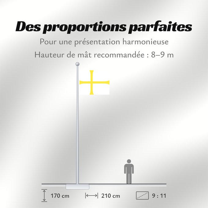 Proportions du drapeau : Nord-Trøndelag Nord-Trøndelag County, Norway comté de Nord-Trøndelag