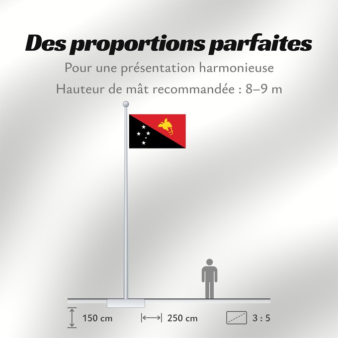 Proportions du drapeau : Papua New Guinea	Papua New GuineaColours Pantone 186 C for red and 116 C for yellow	Papouasie-Nouvelle-Guinée	Papúa Nueva Guinea	Papua-Neuguineas	Papua Nuova Guinea	Papoea-Nieuw-Guinea	Papua-Nova Guiné	Papui-Nowej Gwinei	علم بابوا غينيا الجديدة	পাপুয়া নি