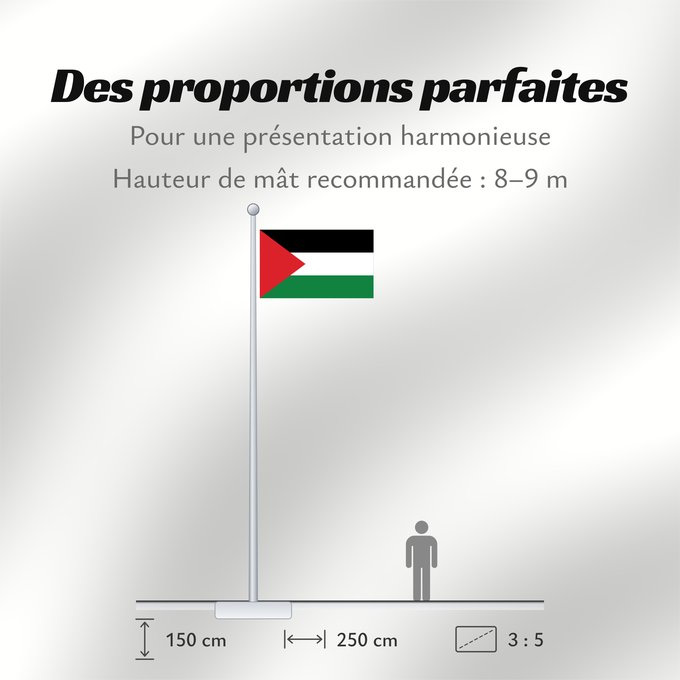 Proportions du drapeau : Palestine State of Palestine L’État de Palestine Estado de Palestina Palästina Palestina علم فلسطين ফিলিস্তিনের পতাকা Palestino Dari Negara Palestina Флаг Государства Палестина