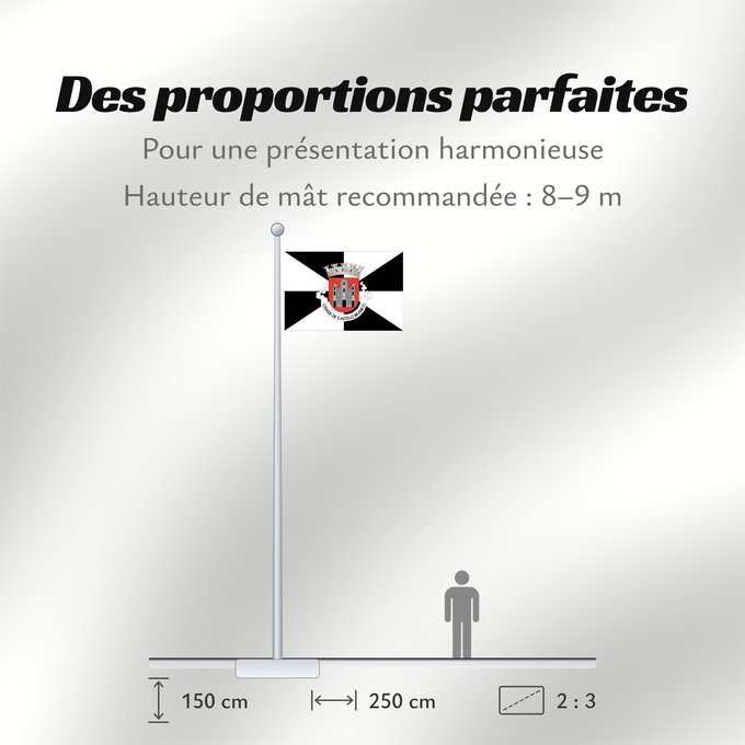 Proportions du drapeau : Castelo Branco