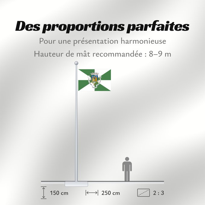 Proportions du drapeau : Porto
