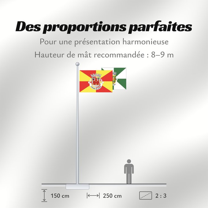 Proportions du drapeau : Viseu