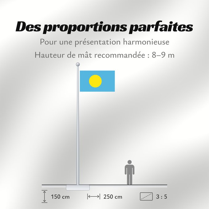 Proportions du drapeau : Palau	Palau, made by User Gabbe	 Palaos	Palaos	パラオの国旗	Palaua	​帕勞國旗