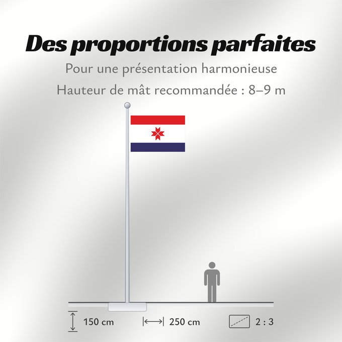 Proportions du drapeau : Mordovia	Republic of Mordovia	Mordovie	 República de Mordovia 	Mordowia	Repubblica di Mordovia