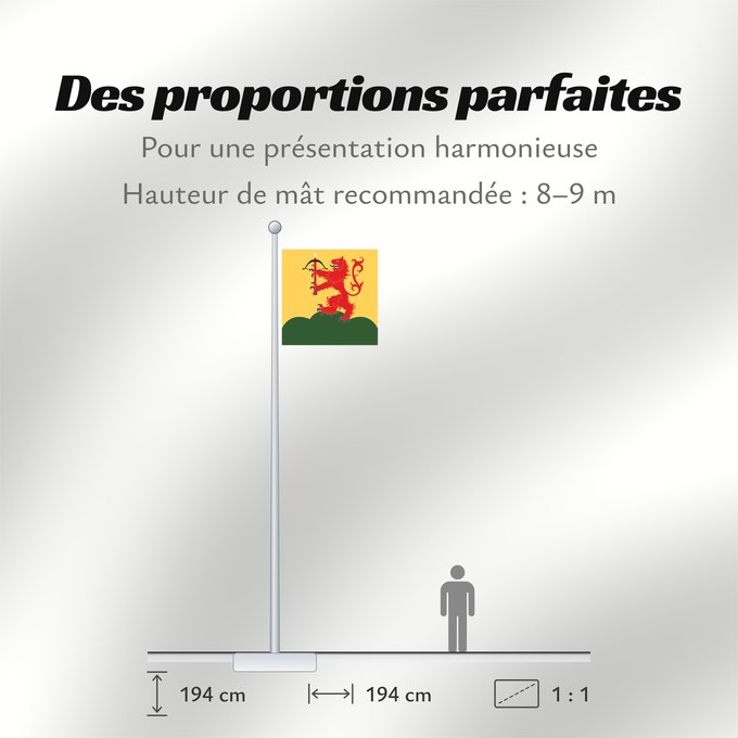 Proportions du drapeau : Kronobergs län vapenflagga	Kronoberg County in Sweden	Kronoberg	Provincia de Kronoberg	Kronobergs läns vapenflagga