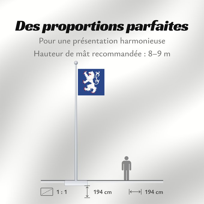 Proportions du drapeau : Hallands län vapenflagga	Halland County in Sweden	Halland	Hallands läns vapenflagga
