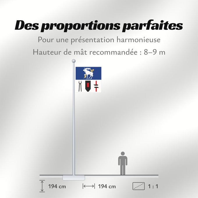 Proportions du drapeau : Jämtlands län