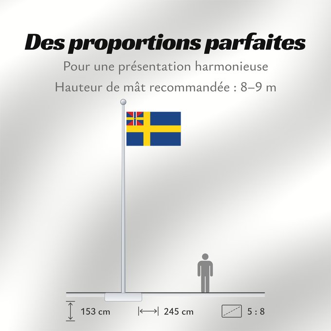 Proportions du drapeau : Swedish norwegian union