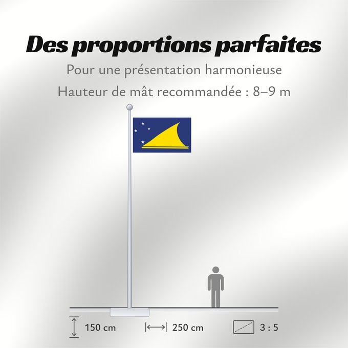 Proportions du drapeau : Tokelau	Tokelau since May 2008	Tokelau que fuera adoptada en mayo de 2008 por el parlamento local de este territorio dependiente de Nueva Zelanda	Pīwari o Tokelau