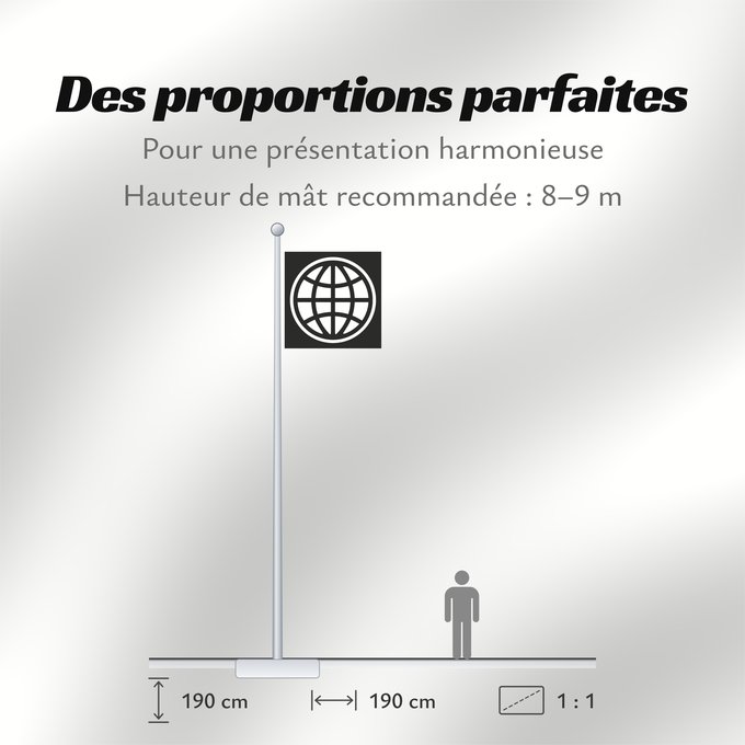 Proportions du drapeau : The World Bank Group