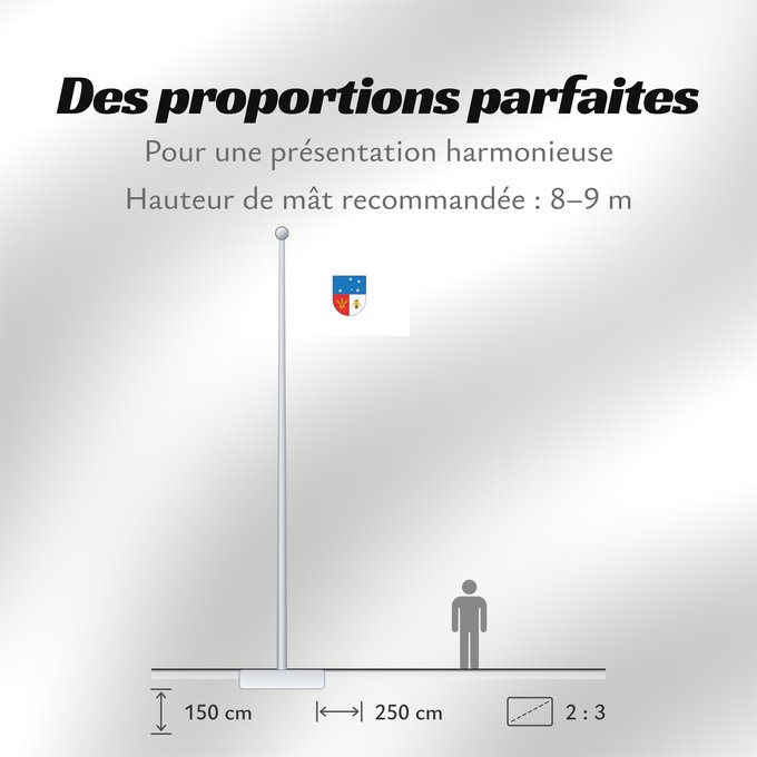 Proportions du drapeau : Colonia Department	Colonia	 département de Colonia 