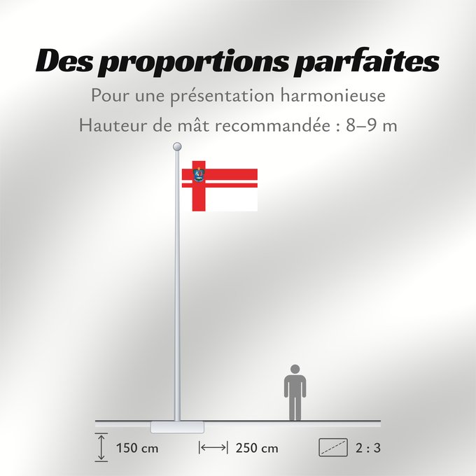 Proportions du drapeau : Florida Department Florida