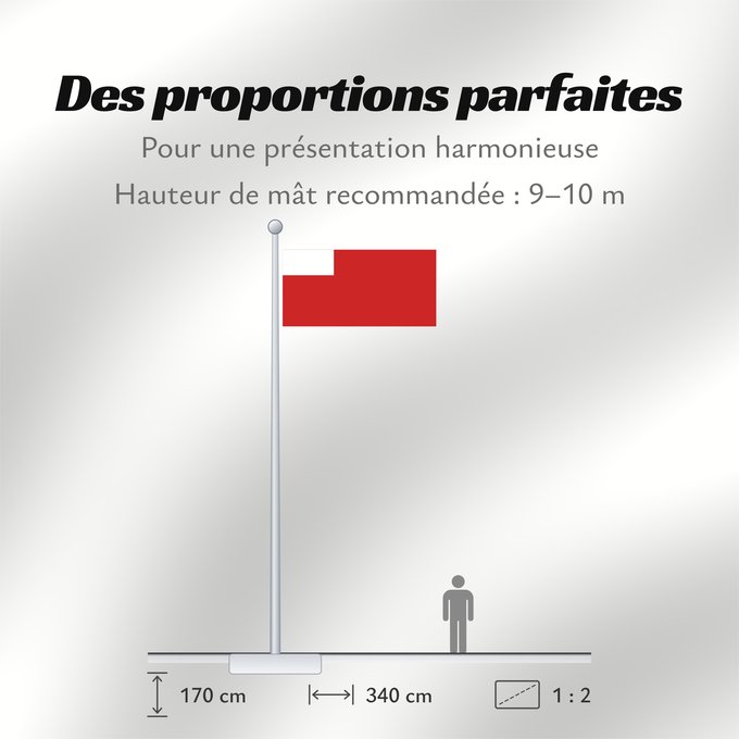 Proportions du drapeau : Abu Dhabi	D Abou Dabi	علم أبو ظبي	Abu Dabi	Прапор Абу-Дабі