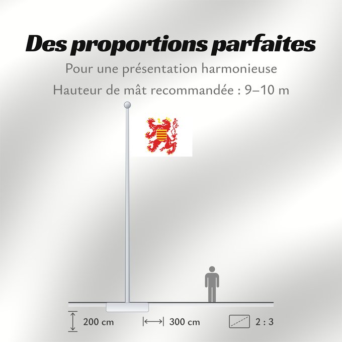 Proportions du drapeau : Limburg (nl)
