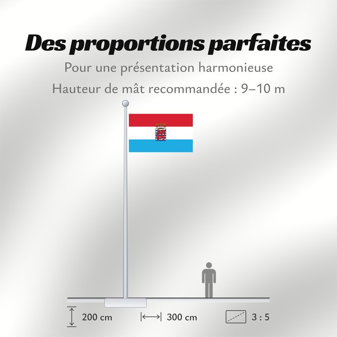 Proportions du drapeau : Province of Luxembourg  Belgium	This W3C-unspecified vector image was created with Adobe Illustrator	Un drapeau non-officiel de la province de Luxembourg  Belgique	Luxemburgo (BE)	Luxemburg (Belgien)	Lussemburgo (BE)