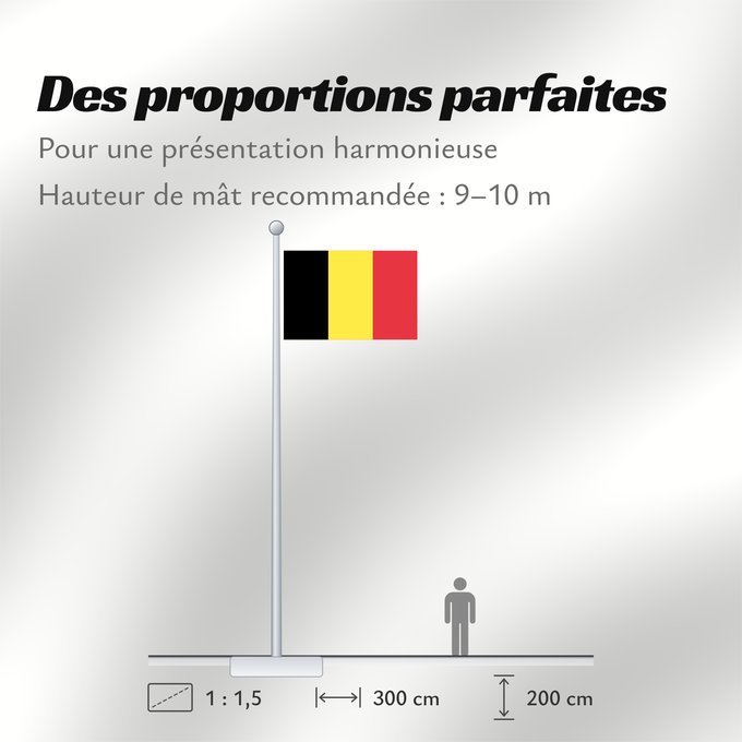Proportions du drapeau : Belgium  civil	The civil ensign and flag of Belgium	Belgique	Bélgica	Belgien	Belgio	België in de verhouding 2 3, gebruikt als civiele vlag en de facto nationale vlag	Belgii	Belgiens	Civilna zastava Belgije	Флаг Бельгии