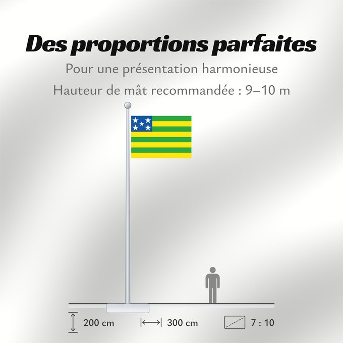 Proportions du drapeau : Goiás