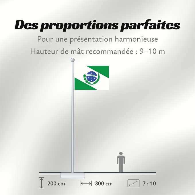 Proportions du drapeau : Paraná