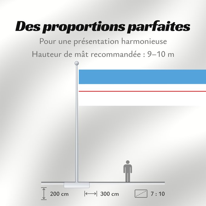 Proportions du drapeau : Roraima