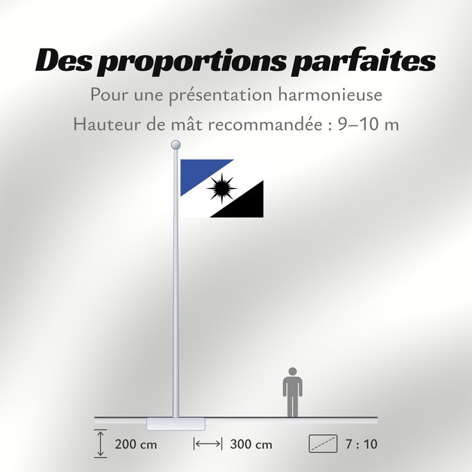 Proportions du drapeau : Tocantins	State of Tocantins, Brazil	Estado do Tocantins, Brasil